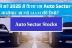 Auto Sector Stocks 2025